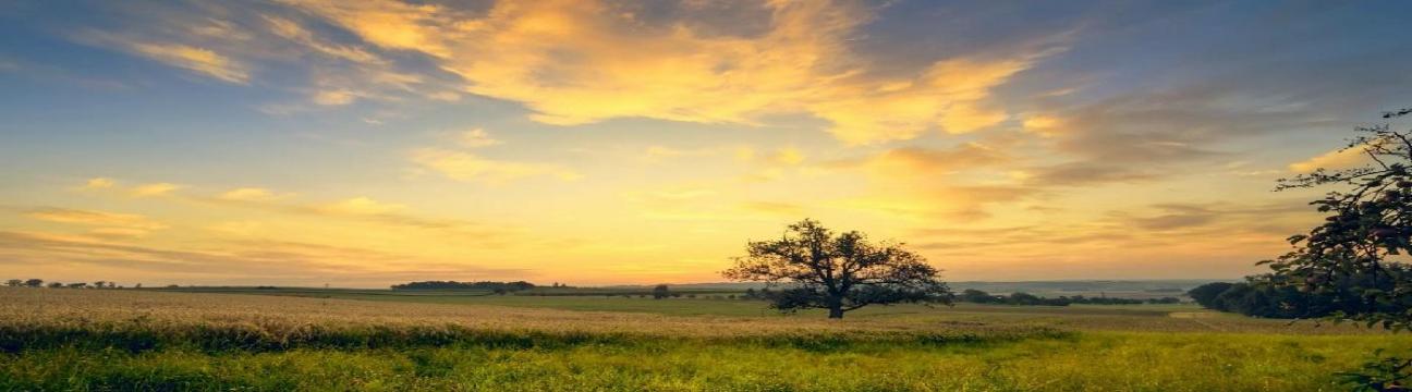 Tom Garvie Mortgage Services