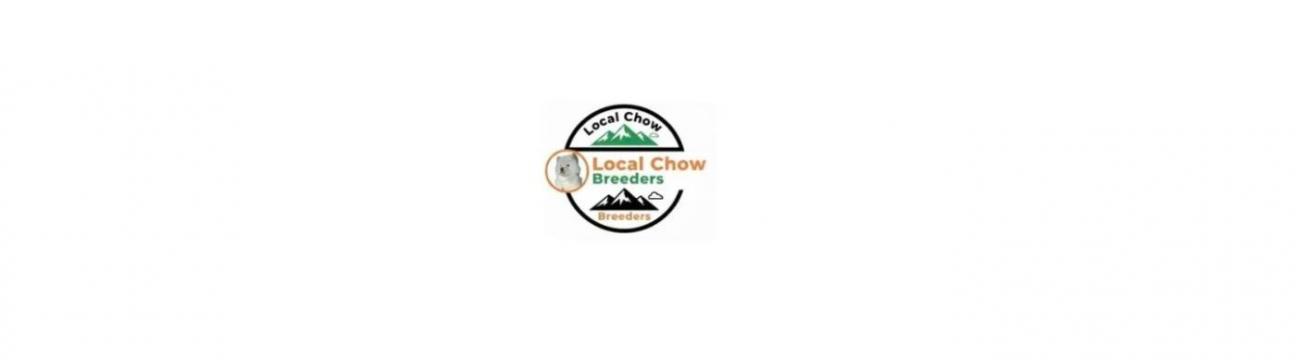 Local Chow Breeders